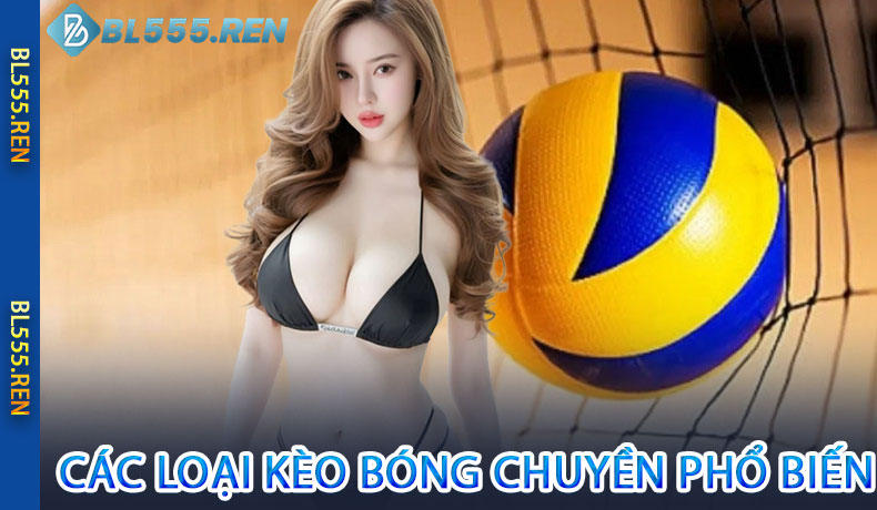 Các loại kèo bóng chuyền phổ biến