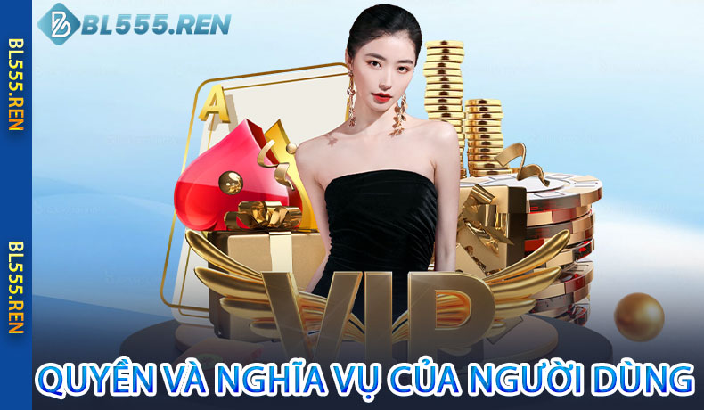Các quyền và nghĩa vụ của người dùng